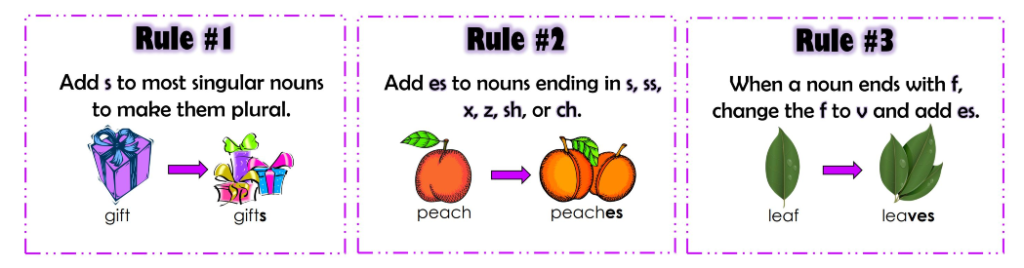 What Are The 8 Rules Of Plural Nouns