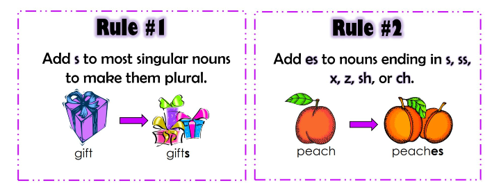 ESL Plural Nouns Rules 1 And 2 Verb Ninja